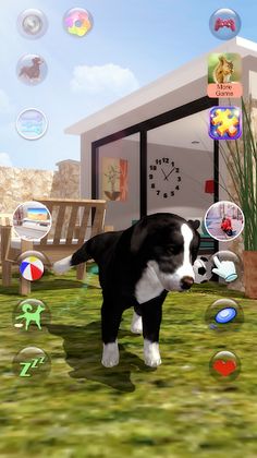 Talking Dogs - Screenshot 2
