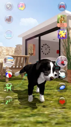 Talking Dogs - Screenshot 2
