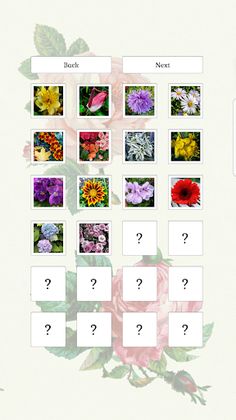 Time to Puzzle Premium - Screenshot 3