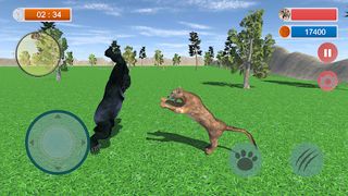 Wild Cougar Simulator 3D - Screenshot 2