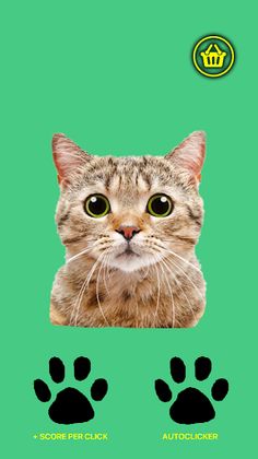 CatClicker - Screenshot 1