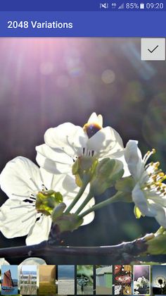 2048 Variations - Screenshot 4