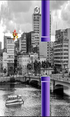 Recife Bird - Screenshot 1