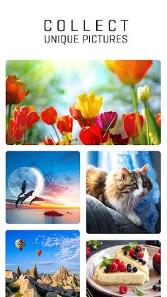 Hidden Words - Solve Hidden Se - Screenshot 3