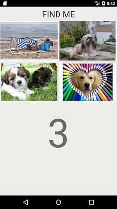 How Many Of These Dog Breeds D - Screenshot 3