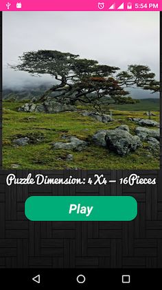 Nature Puzzles 2019 - Screenshot 1