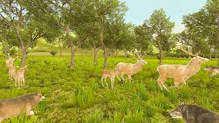 Wild Wolf Animal Simulator - Screenshot 2