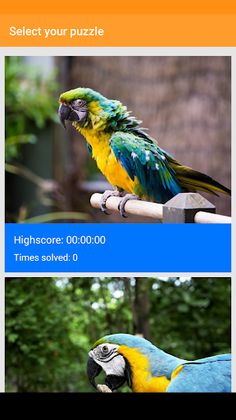 Parrot Jigsaw Puzzle - Screenshot 4