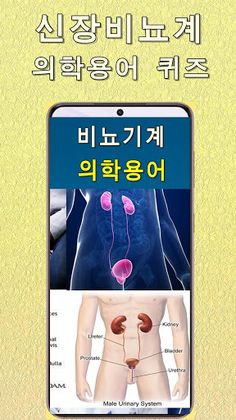 신장비뇨계 의학용어 퀴즈100 - Screenshot 1