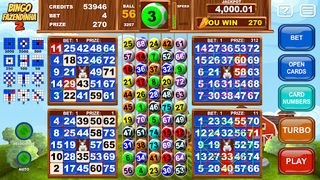 Video Bingo Little Farm 2 - Screenshot 2