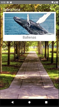 Rompecabezas de Ballenas - Screenshot 1