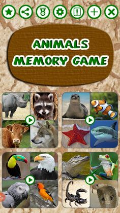 Animals Memory Game - Screenshot 1