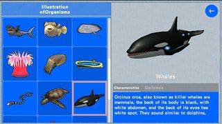 v-Aquarium 99 - Screenshot 3