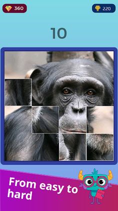 Jigsaw Puzzles: HD Puzzle Game - Screenshot 3