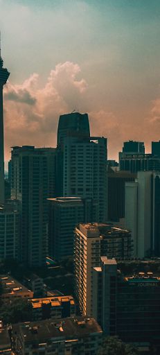 Misty forests - Screenshot 2