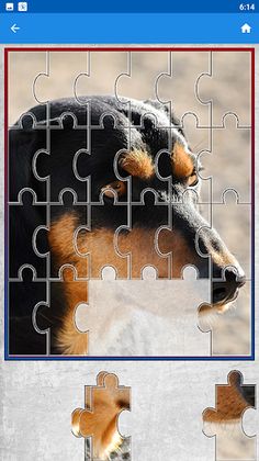 Dog Jigsaw Puzzle Game - Screenshot 3