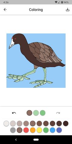 Animal Coloring - Screenshot 3