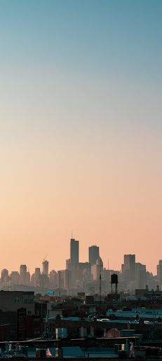 Misty forests - Screenshot 1