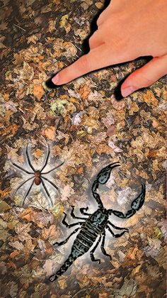 Serbuan Serangga Dan Kecoa - Screenshot 4