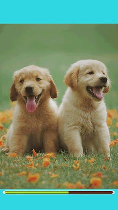 Jigsaw Tile Pets - Screenshot 3