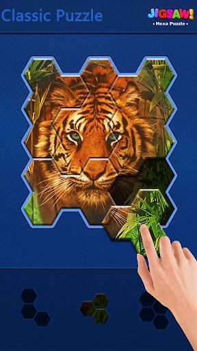 Jigsaw Puzzle -Hexa Block Game - Screenshot 2