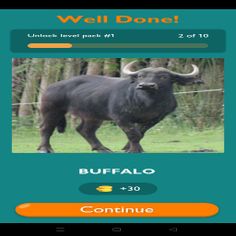 Animal Quiz - Screenshot 1