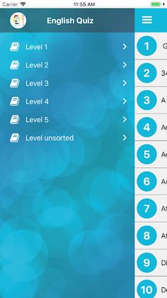 English Quiz - Screenshot 3