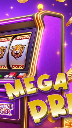 Fortune Aventura: Tiger Épica - Screenshot 3