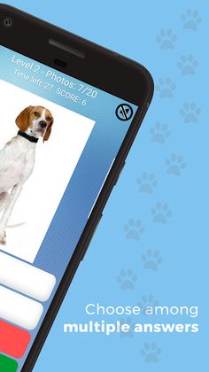 Dog Quiz - Guess the dog breed - Screenshot 3