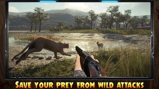 Animal Hunting Safari Shooting - Screenshot 3