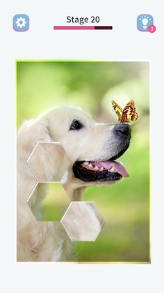 Artsort Puzzle - Screenshot 2