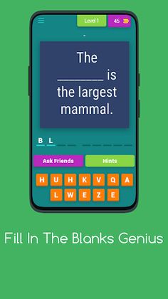 FILL IN THE BLANKS GENIUS - Screenshot 1