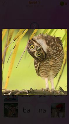 630 Pics - Screenshot 4