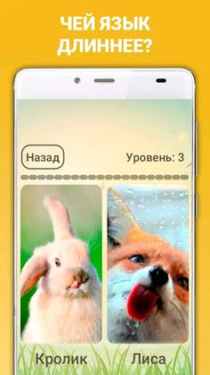 Quiz: Comparison of subjects. - Screenshot 2