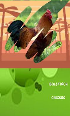 Birds, guess which one catches - Screenshot 4