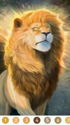 Lion Paint by Number Game - Screenshot 2