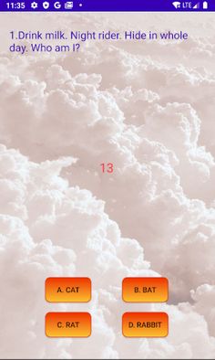 Riddles For Fun - Screenshot 3