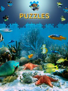 Free Dolphin Jigsaw Puzzles - Screenshot 1