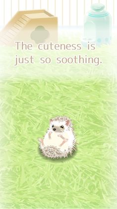 Hedgehog Pet - Screenshot 3