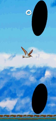 BlackHoleBird - Screenshot 3