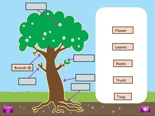 Naming Parts of Plants and Ani - Screenshot 2
