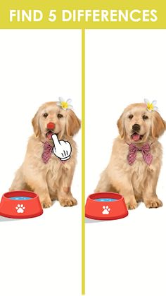 Find It Painting Puzzle - Screenshot 1