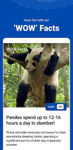 Qtopia: Quiz & Fun Facts - Screenshot 2