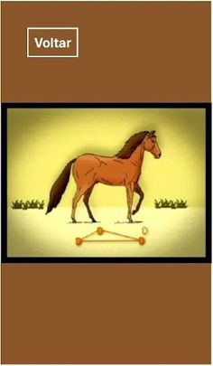 Ezoognosiando - Screenshot 3