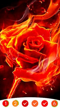 RED: Rainbow Color Coloring - Screenshot 2