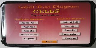 Label that Diagram - Cells - Screenshot 2