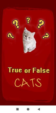 True False Trivia Cats quiz - Screenshot 1