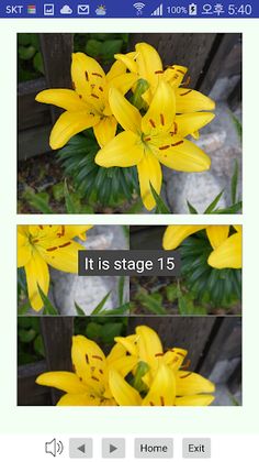 Flower Puzzle - Screenshot 3