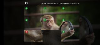Picture Puzzle LF - Screenshot 1