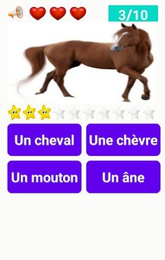 watch pet - Screenshot 3